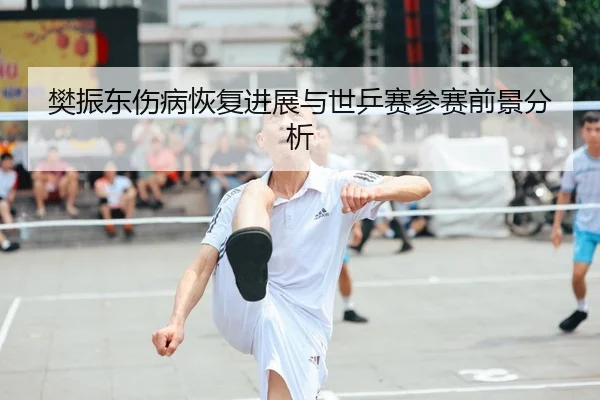 樊振东伤病恢复进展与世乒赛参赛前景分析